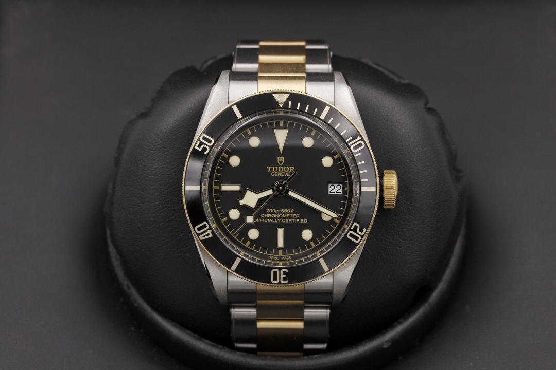 Tudor Black Bay S&g 79733