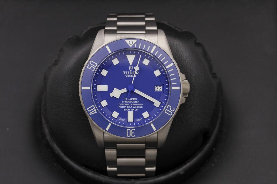 Tudor Pelagos 25600tb