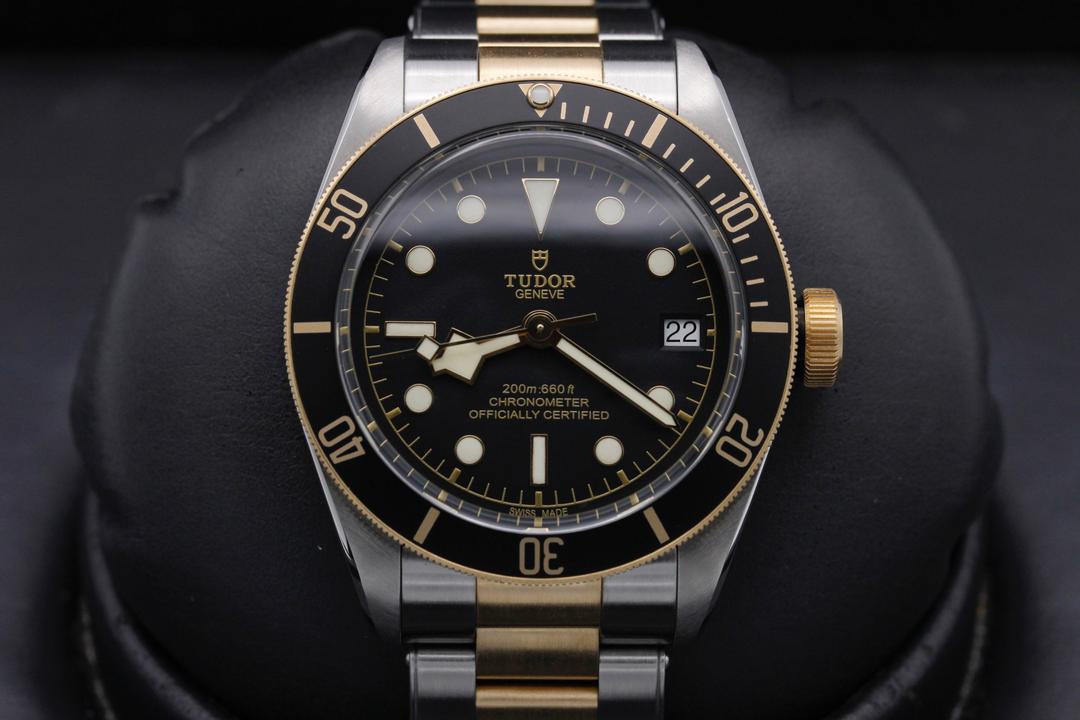 Tudor Black Bay S & G 79733