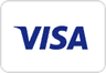 Accept Payments Visa